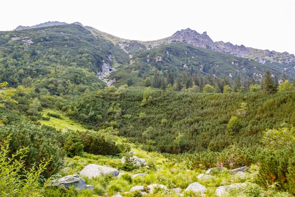 Gebirge Nationalpark Tatra Polen — Stockfoto