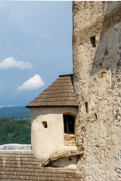 Château Niedzica Pologne — Photo