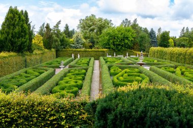 Küflenmiş çitleri olan yeşil bir bahçe.