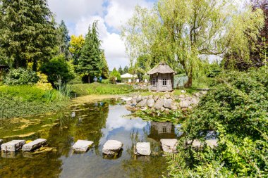 Sudaki taş patika, bahçede.
