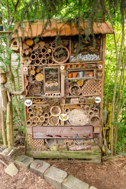 Çevre dostu böcek oteli; arılar, karıncalar ve daha fazlası için bir ev