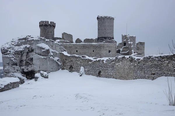 Polonya 'nın Ogrodzieniec kentindeki ortaçağ şatosunun kalıntıları