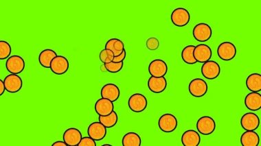 Altın sikke animasyonu. Yeşil ekran arka planında altın para yağmuru