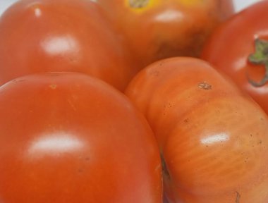 Beyaz arka planda taze domatesler