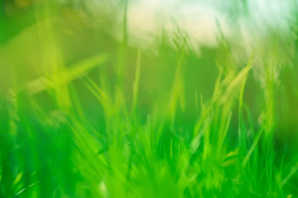 stock image Landscape of meadow steppe and sun with blue sky blurred texture. Picturesque landscape with field and sun blurred texture.