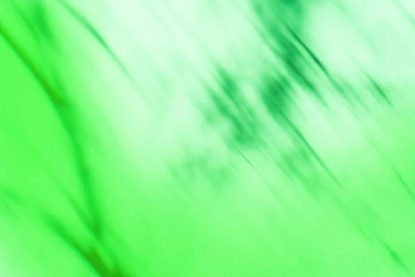 녹색은 보케의 배경입니다 올리브 색깔은 초점을 이루지 움직임을 흐릿하게 — 스톡 사진