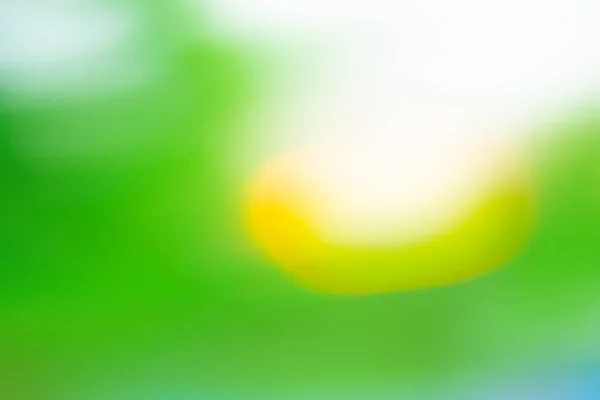 Green  blur template design. Green  blurred background with bokeh.