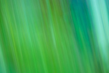 Turkuaz çam yeşili soyut bulanık bokeh. Soyut yeşim taşı nane rengi bokeh arkaplan.