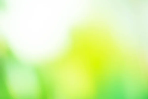 Olijven Chloor Vervaging Met Bokeh Groene Kleur Abstracte Bacground Chloorgroen — Stockfoto