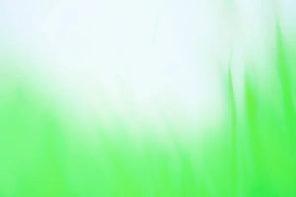 山の牧草地背景がぼやけている 緑ジューシーな新鮮な草ぼんやりとしたボケの背景 — ストック写真