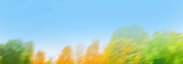 Blurry abstract fall bokeh nature background. Blurred autumn background with sunburst.