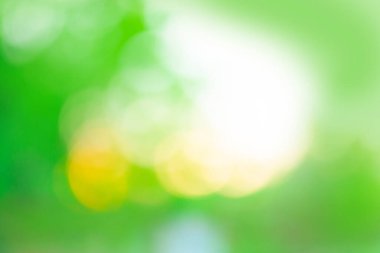 Yeşil, Bokeh 'i odak arkaplanından silmiş. Yeşil soyut bulanık arkaplan resmi