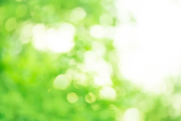 Natural Outdoors Blurry Effect Bokeh Green Fresh Summer Wallpaper Concept —  Fotos de Stock