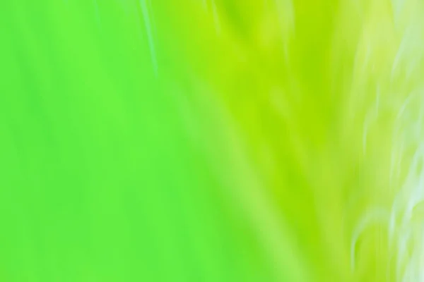 Green blurred background with copy space. Green  blurry unfocused photographic effect.