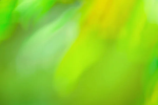 Kleurrijke Aquarel Mooie Abstracte Wazig Design Achtergrond Wazig Aquarel Vloeistof — Stockfoto