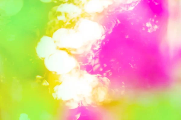 Blurry Bokeh Flower Background Colourful Bokeh Blur Soft Focus Flowers — Stockfoto