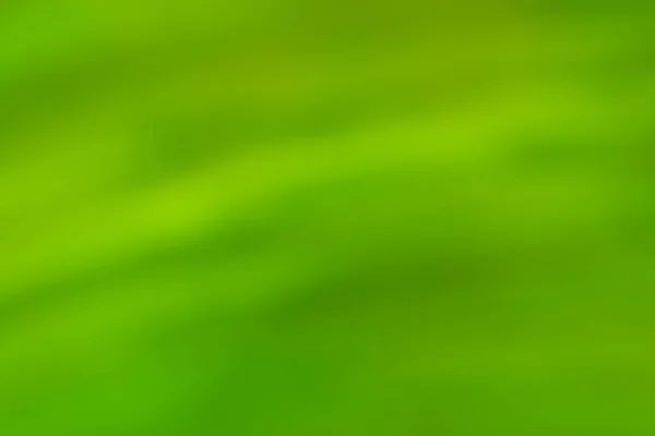 緑のフォーカスの背景からぼんやりボケ 緑の抽象的なぼやけた背景画像 — ストック写真