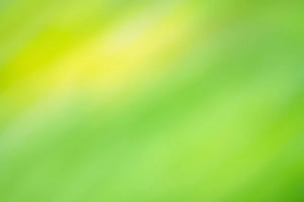 Abstract Green Color Gradient Blurred Background Minimal Blurred Style Trendy — Stock Photo, Image