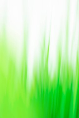 Dağ çayırı arka planda bulanık. Yeşil sulu taze çimenler bulanık bokeh arkaplan