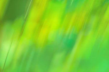 Yeşil ve mavi soyut odaklanmış hareket bulanık arkaplan.