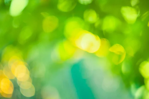 Eco friendly nature concept. Green nature bokeh background with copy space. Ecology nature concept.