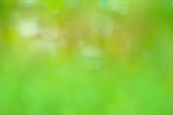 Green color background blurred and defocused