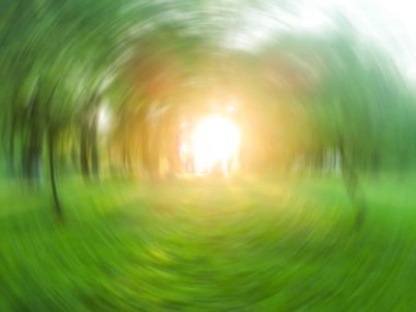 Bahçe odaklanmış bokeh etkisi arka planı. Çok renkli odaklanmış doğa güneş patlaması ile hareket ediyor..