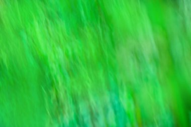 Parlak yeşil arka plan ve güneş patlaması. Soyut doğa yeşil arkaplan. 