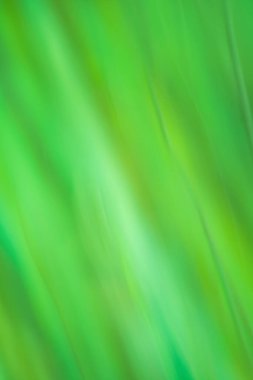 Soyut yeşil renk gradyanı bulanık arkaplan. Grafik tasarımı için en az bulanık stil eğilimli grafiksel doku.