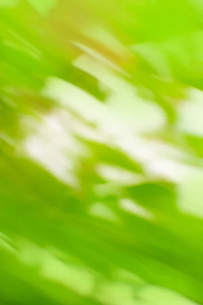 High speed motion blurred green nature. Abstract natural green motion blurred bio backgrounds with space for lettering