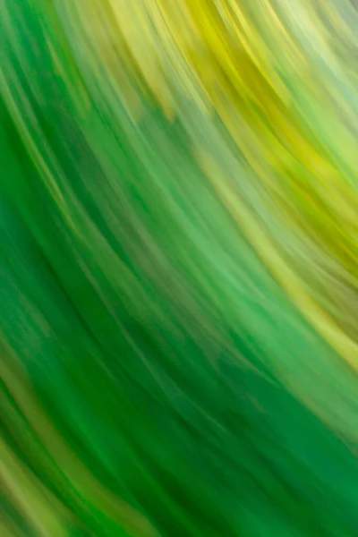 Natural green blurred background. Abstract bokeh and blurred green nature background