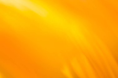 Abstract fresh defocused boke orange backdrop. Colorful orange blurred background.