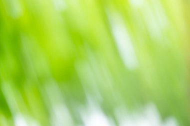 Tasarımınız için renkli yeşil odaklanmış doku. Bokeh ile bulanık yeşil arkaplan.