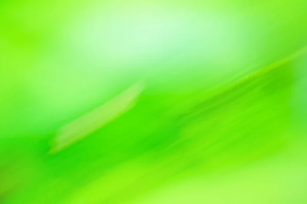 Green blurred background with copy space. Green  blurry unfocused photographic effect.