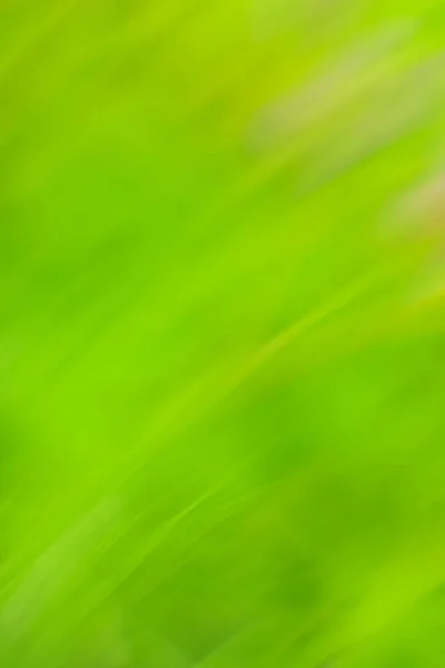 Powolna Prędkość Migawki Zielonym Efektem Rozmycia Dekoracyjny Zielony Tło Szybki — Zdjęcie stockowe