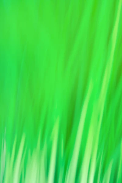 Spring Summer Defocus Blurred Grass Field Early Misty Morning Green — Photo