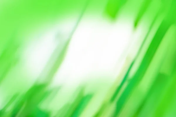 Grüne Schöne Natur Grünen Öko Hintergrund Für Ihr Design Abstrakter — Stockfoto