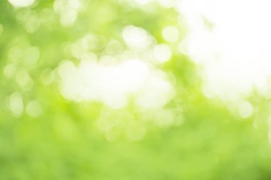 Yeşil bokeh arka plan. Ufuk yeşil arka plan. Yeşil Doğa Parkı bulanıklık. Güneşli yeşil doğa arka plan