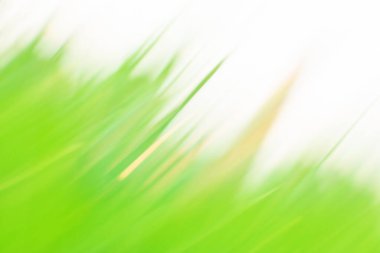 Bright spring grass field defocused. Abstract spring nature defocused bokeh effect background