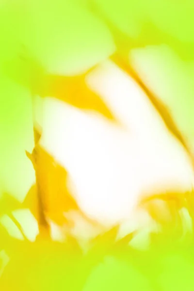 Renkli Sonbahar Sabahı Bulanıklaştırdı Düşen Yapraklar Bokeh Arkaplan — Stok fotoğraf