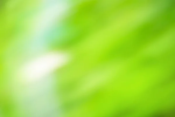Боке Зелений Нейтральний Світлий Універсальний Фон Нейтральне Зелене Світло Боке — стокове фото