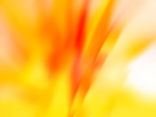 蜂蜜漬けの甘い色は フォーカスの背景からボケをぼかします ハニーズの強いカラーライトの背景 — ストック写真
