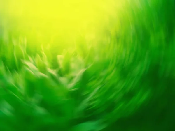 Multicolored Defocused Nature Motion Sunburst — 스톡 사진