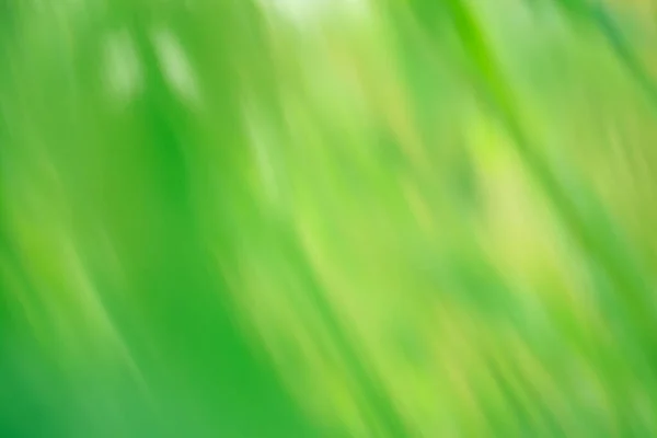 Groen Gedefocuste Dynamische Abstracte Achtergrond Langdurige Blootstelling Bewegingsvervaging — Stockfoto