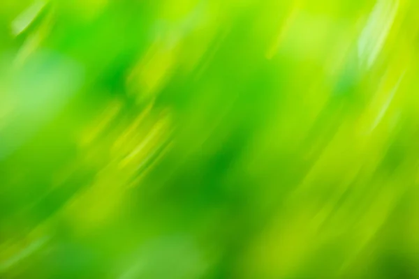 Zoomen Groen Blad Natuurlijke Wazig Achtergrond Versnelling Super Snel Groene — Stockfoto