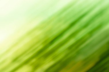 Yeşil bokeh odak arkaplanından çıktı. Yeşil zeytin bulanık arkaplan.