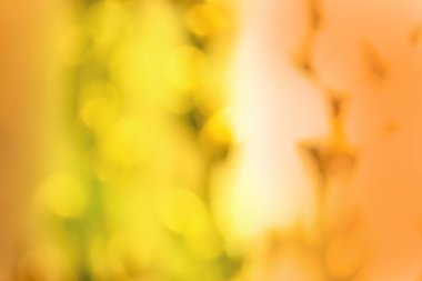 Turuncu doğal ağaçlar gibi düşer. Parlak sarı ve kırmızı ağaçlar bokeh arkaplanına düşer