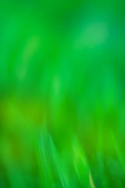 Yeşil Odaklanmış Dinamik Soyut Arkaplan Uzun Süreli Hareket Bulanıklığı — Stok fotoğraf