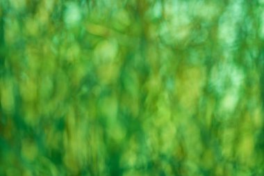 Bulanık yeşil hareket minimalist arka plan. Bokeh özeti kopyalama alanı ile bulanık yeşil arkaplan