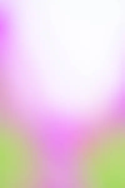 Leaves Flowers Bokeh Nature Background Amazing Blur Soft Focus Field — Stockfoto